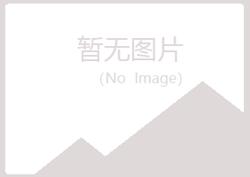 特克斯县夜山美容有限公司